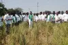 రైతులకు 12 గంటల వ్యవసాయ విద్యుత్ ఇవ్వాలి....