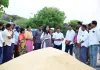 వరి ధాన్యం నిల్వ ప్రక్రియ సక్రమంగా చేపట్టాలి....