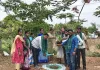 ప్రతి ఇంటికీ మొక్కలు పంపిణీ .....