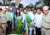 ఘనం గా ప్రారంభం అయిన వన మహోత్సవం...