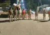 దొంగతనాల నివారణకు తూప్రాన్ పోలీసుల విస్తృత వాహన తనిఖీలు...