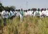 రైతులకు 12 గంటల వ్యవసాయ విద్యుత్ ఇవ్వాలి....