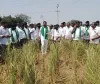 రైతులకు 12 గంటల వ్యవసాయ విద్యుత్ ఇవ్వాలి....