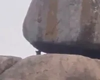 గుండ్రెడ్డిపల్లి అటవీ ప్రాంతం గుట్టపై రెండు చిరుతలు.....