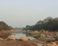 కిష్టాపూర్ చెక్ డ్యామ్ లో నీరులేక ఎండిపోతున్న పంటలు...... 