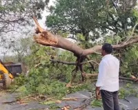 తూప్రాన్ గజ్వేల్ రోడ్డుపై విరిగిపడిన భారీ వృక్షం ...