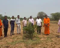 ఆయిల్ ఫామ్ పంటలను పరిశీలించిన జిల్లా వ్యవసాయ అధికారి దేవకుమార్ ...