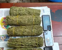 గంజాయి బ్యాచ్ అరెస్టు...