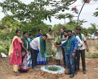 ప్రతి ఇంటికీ మొక్కలు పంపిణీ .....