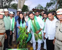 ఘనం గా ప్రారంభం అయిన వన మహోత్సవం...