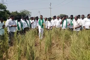 రైతులకు 12 గంటల వ్యవసాయ విద్యుత్ ఇవ్వాలి....