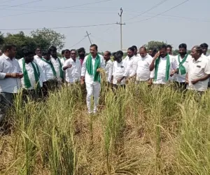 రైతులకు 12 గంటల వ్యవసాయ విద్యుత్ ఇవ్వాలి....